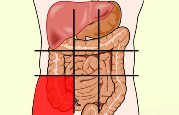 Боль в животе? Посмотрите на карту брюшной полости и определите недуг