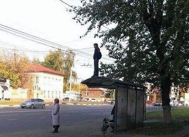 Некоторые понимают всё слишком буквально Некоторые понимают всё слишком буквально