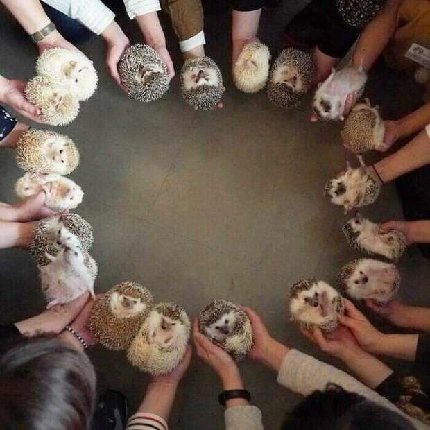 19. 19.
