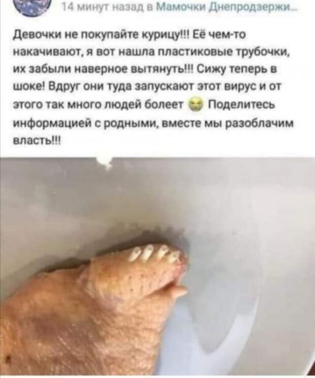 Приколы про современных девушек