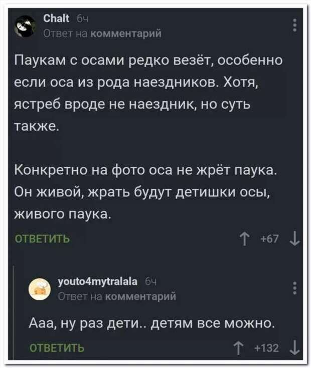Смешные комментарии. Подборка chert-poberi-kom-chert-poberi-kom-24020919052020-16 картинка chert-poberi-kom-24020919052020-16