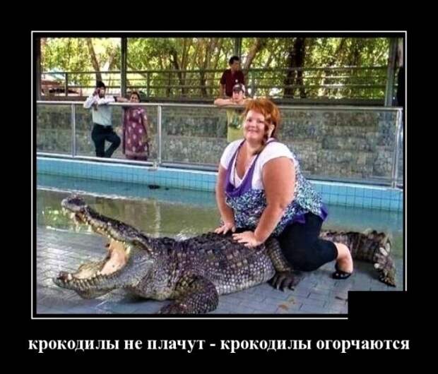 Демотиваторы (30 фото)