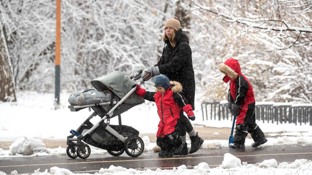 В ОП предложили предоставлять помощь многодетным без учета нуждаемости