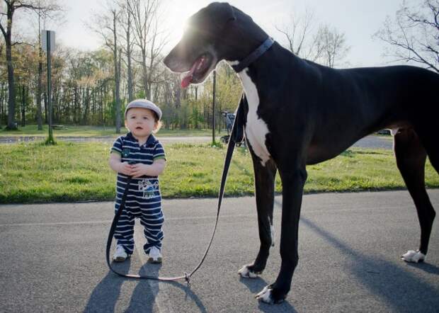 Всякое и разное Смешные фото : Не отказывайте детям в домашних животных