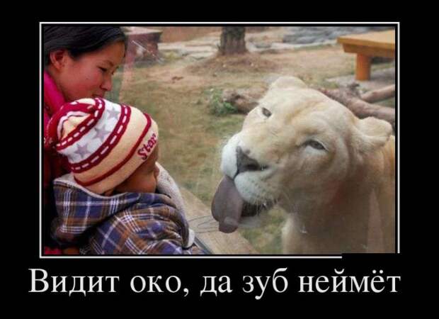 Демотиваторы (30 фото)
