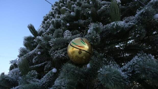 Главная новогодняя елка / Фото: Екатерина Смолихина / amic.ru