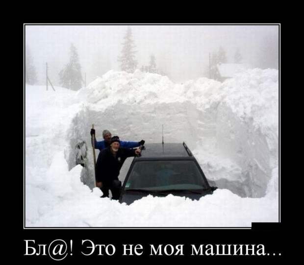 Прикольные и смешные демотиваторы для веселья (11 фото) Прикольные и смешные демотиваторы для веселья (11 фото)