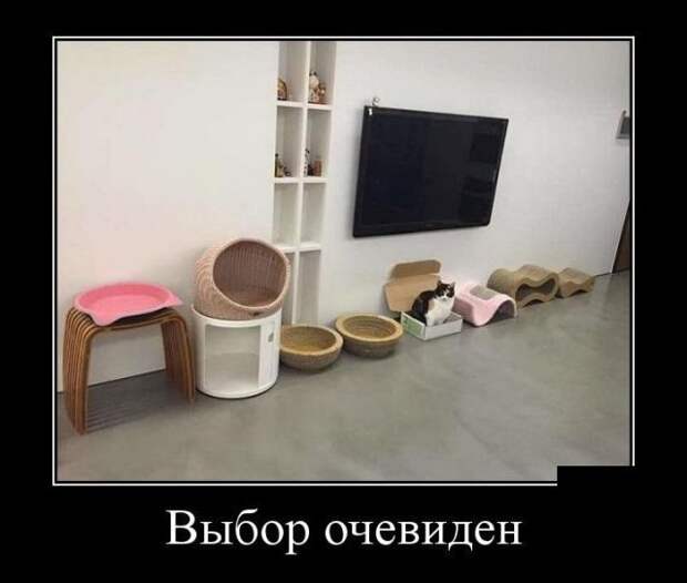 Демотиваторы (30 фото)