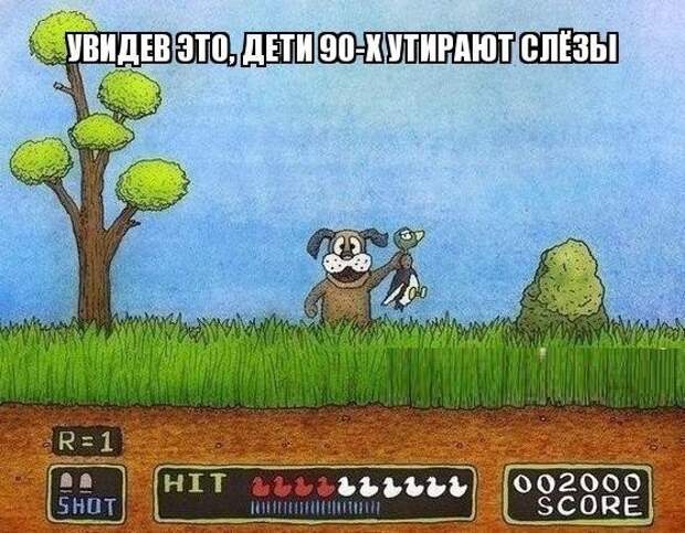 Смешные картинки с надписям