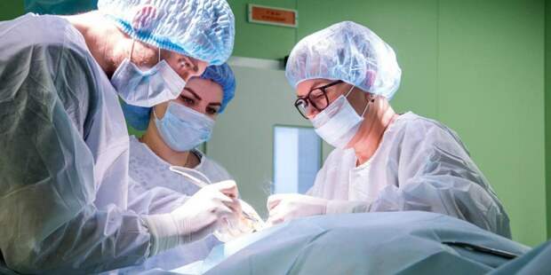 Среди имеющих почетный статус «московский врач» впервые появились офтальмологи. Фото: mos.ru