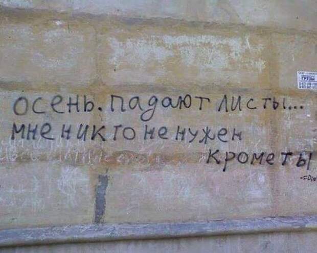 Прикольные картинки. Дневной выпуск (53 фото)