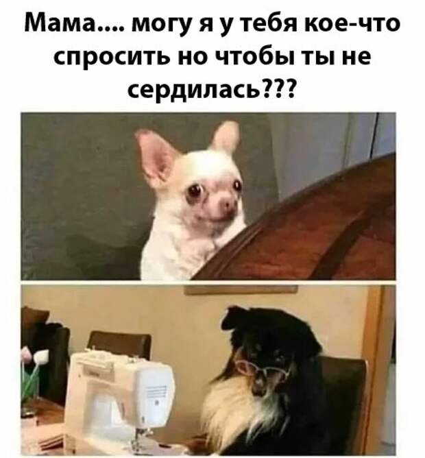 Чёт ссыкотно спрашивать Чёт ссыкотно спрашивать