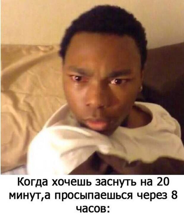 Смешные картинки с надписями
