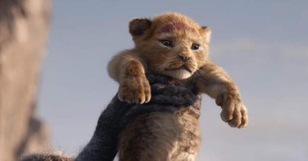 10 американских фильмов 2019 года, которые, по словам критиков, войдут в историю