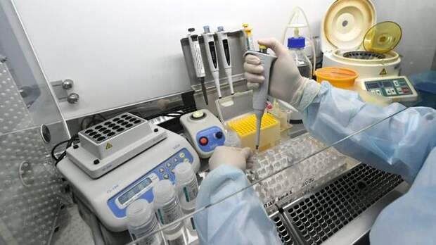 Эпштейн, Зеленский, секретные биолаборатории и незавидная участь Украины. Эксперты и политики о ситуации