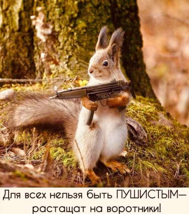 Прикольные демотиваторы с надписями. Подборка chert-poberi-dem-chert-poberi-dem-24290901072020-5 картинка chert-poberi-dem-24290901072020-5