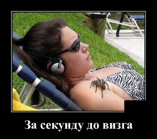 Демотиваторы (30 фото)