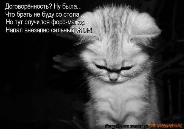 Уфф!!! Ну наконец-то! Котоматрицы великолепные, каждая с улыбкой и хорошим настроением!