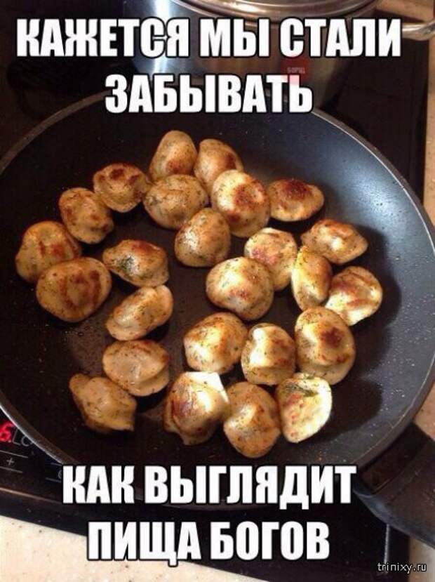 Смешные картинки с надписями