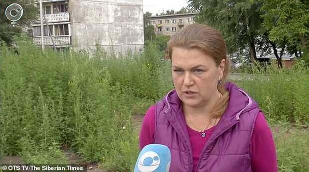 Брошенная в России собака прошла 200 километров, чтобы вернуться домой