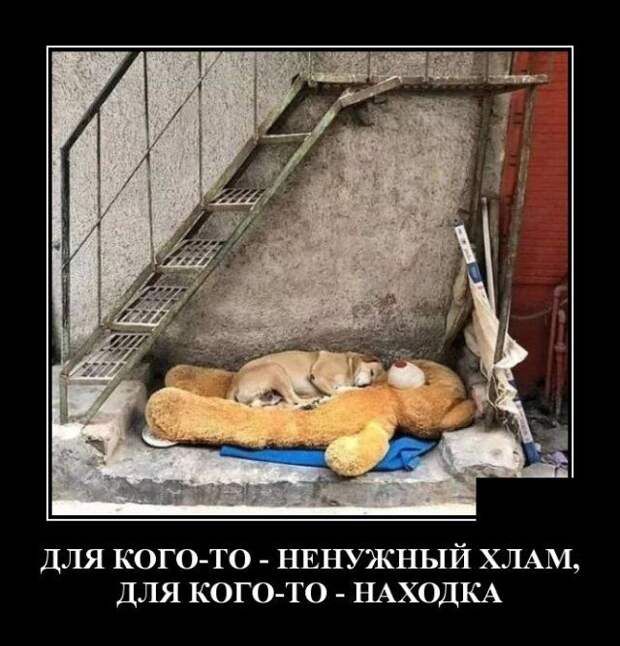 demotivatory-demotivator-smeshnye-demotivatory-demotivator-so-smyslom