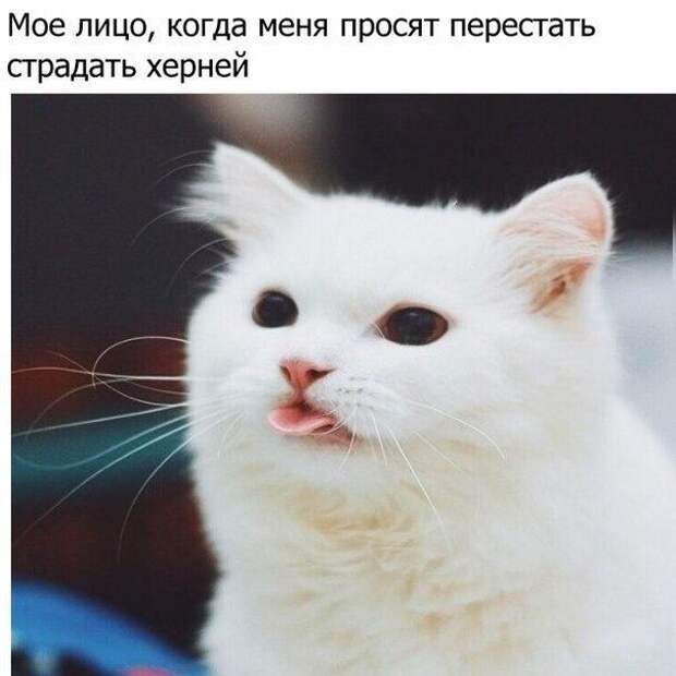 QpVEtdjrE6I