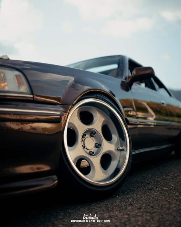 Lowdaily