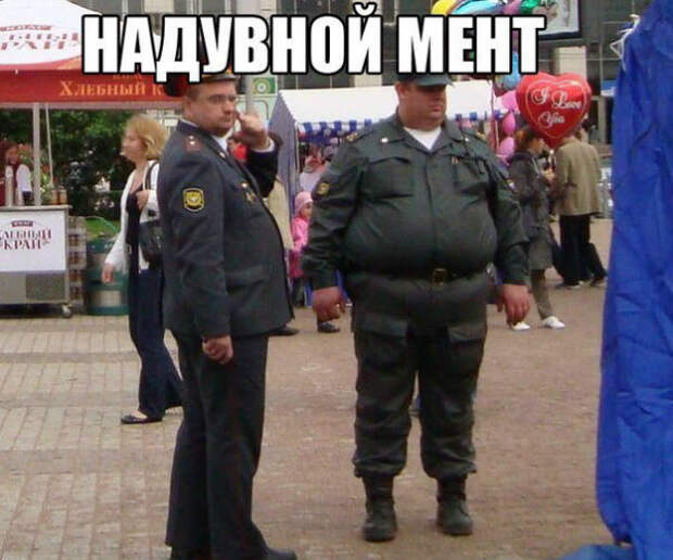 Смешные картинки с надписями картинки, надписи, позитив, юмор