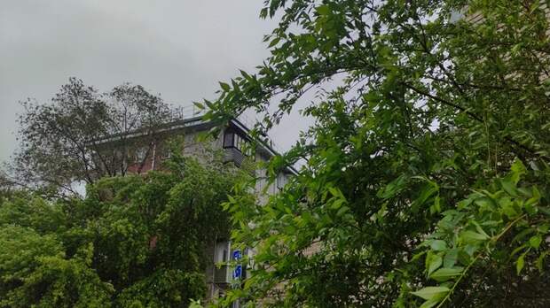 Дожди и похолодание ожидаются в Алтайском крае 5 августа