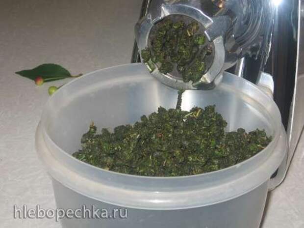 Ферментированный чай из листьев садовых и дикорастущих растений (мастер-класс)