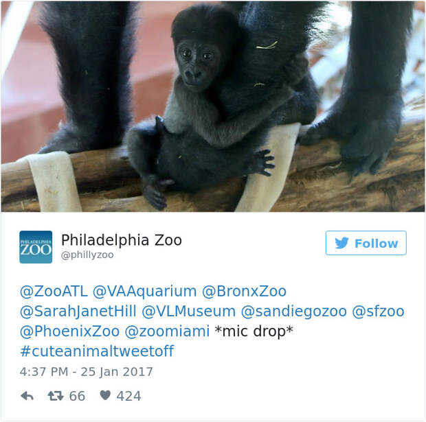 Зоопарки объявили конкурс на самого милого детёныша и вот номинанты!