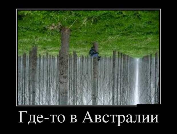 Демотиваторы (30 фото)