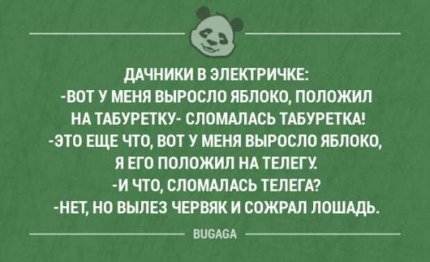Забавные мысли и высказывания. Часть 72 (16 шт)