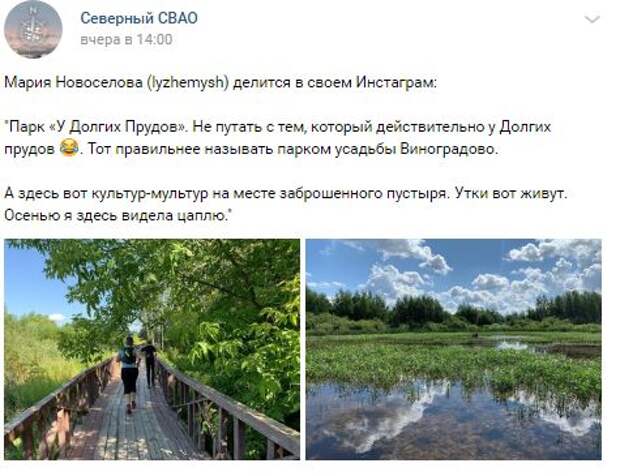 Фото дня: парк «У Долгих Прудов», где живут утки и цапли