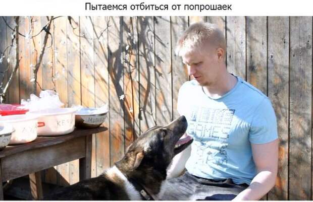Как правильно приготовить шашлыки (33 фото) Как правильно приготовить шашлыки (33 фото)