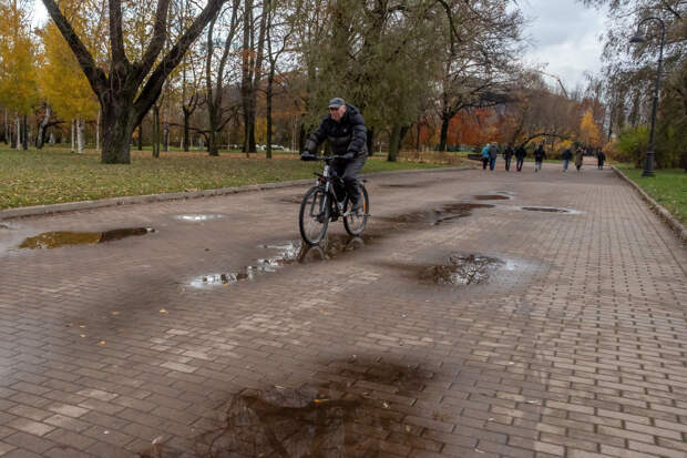 В понедельник в Ленобласти ожидается облачная погода и кратковременный дождь