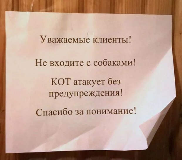 20 объявлений, которые точно сведут вас с ума 20 объявлений, которые точно сведут вас с ума