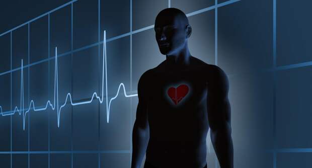 Питание – ключ к здоровому сердцу: Диетолог назвала врагов главной мышцы в теле