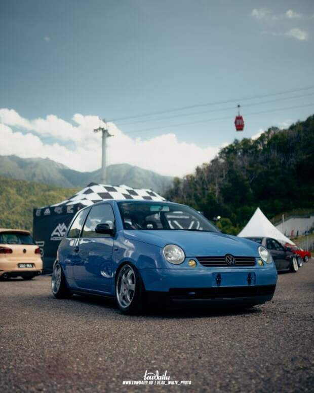 Lowdaily