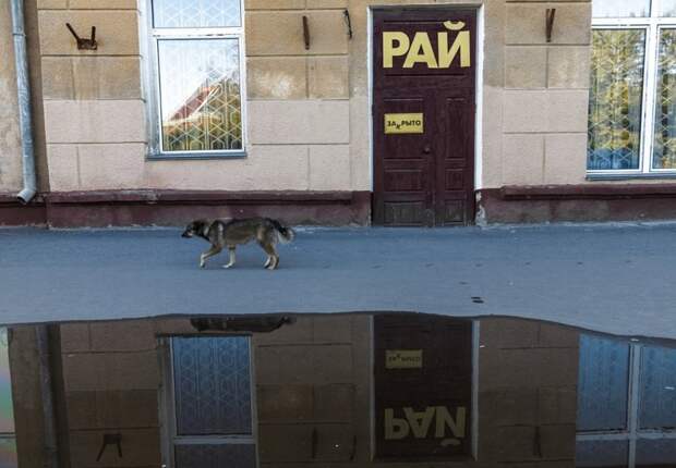 Прикольные объявления объявления, прикол, юмор