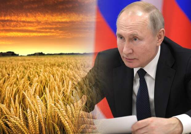 Россия превратилась в крупнейшего экспортера пшеницы в мире. Фото из интернета.
