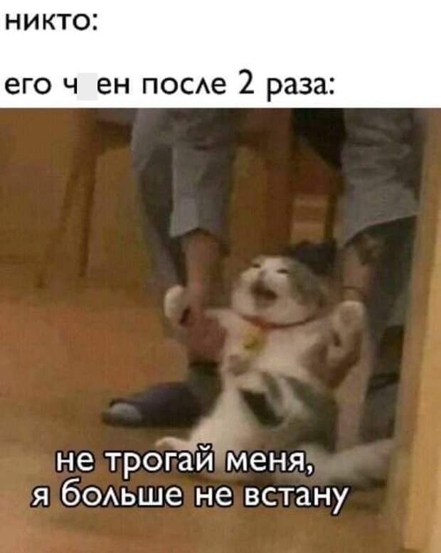 Мемы и приколы про 