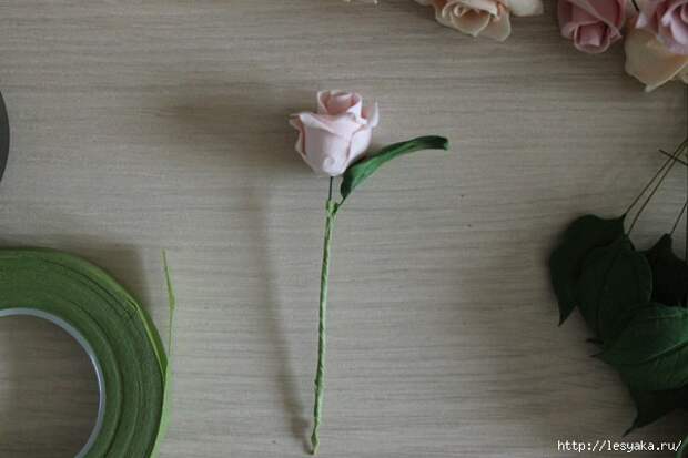 3925073_246610_600 (600x400, 100Kb)