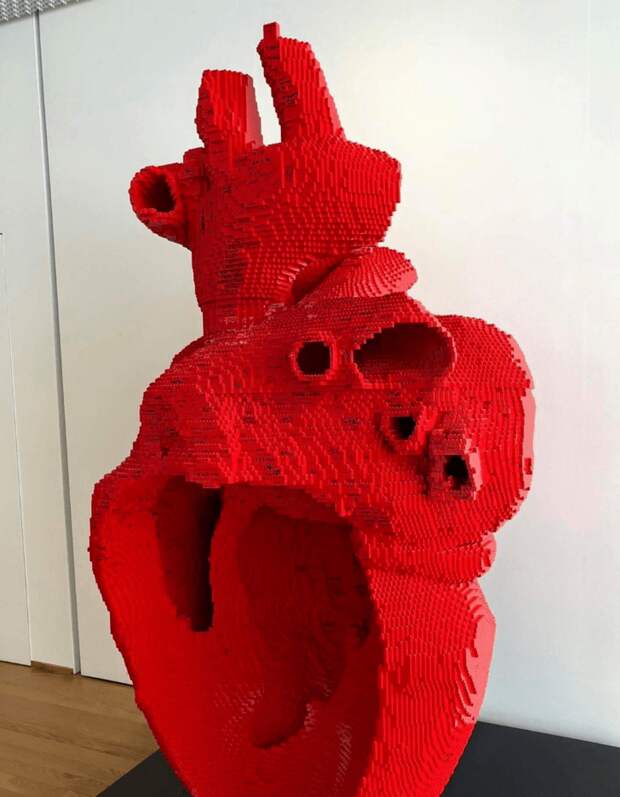 Гигантская анатомическая модель сердца из Lego
