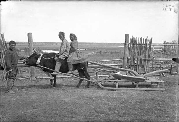 Народности крайнего Севера в России в 1900 году