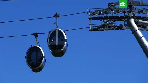 Проезд по московской канатке будет бесплатным для молодоженов до конца года