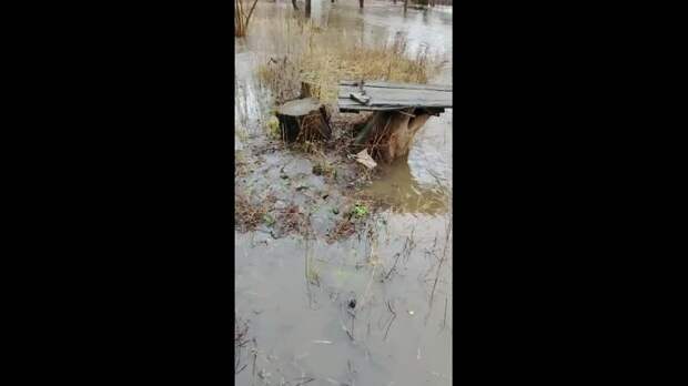 в Енакиево дали воду https://t.me/webmoney_dn/314135Video: Клип