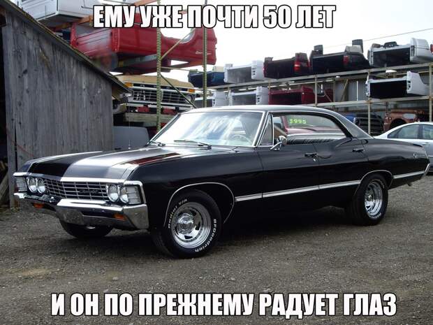 Замечательные картинки с надписью для веселья (12 фото)