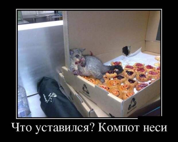 Демотиваторы (30 фото)