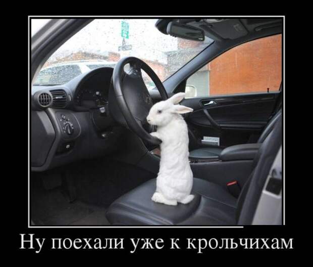 Демотиваторы (30 фото)